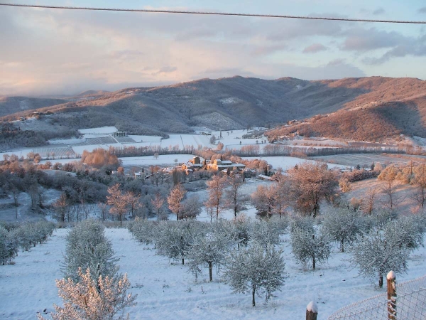 Badia Petroia 16-12-2007