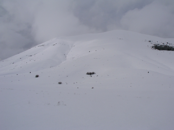 Castelluccio Di Norcia - 002