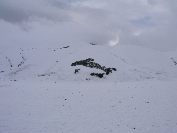 Castelluccio Di Norcia - 007