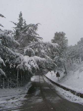 Colle Della Trinità - 001
