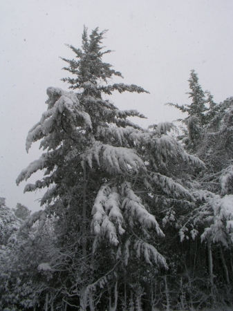 Colle Della Trinità - 002