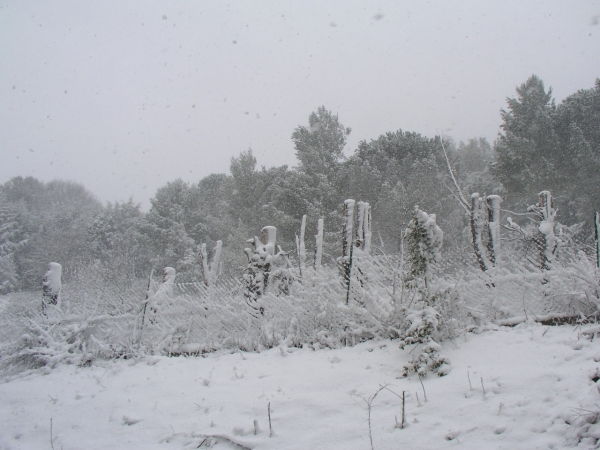 Colle Della Trinità - 003