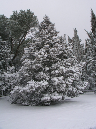 Colle Della Trinità - 004