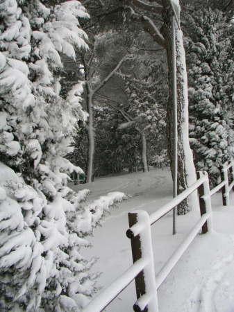 Colle Della Trinità - 005