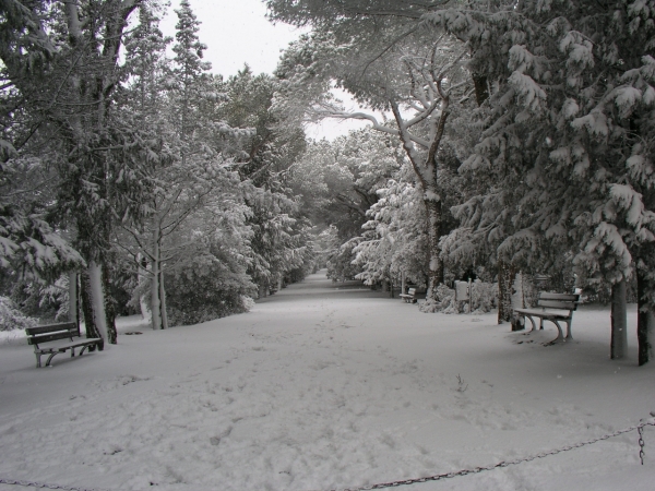 Colle Della Trinità - 006