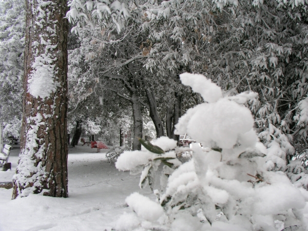 Colle Della Trinità - 007