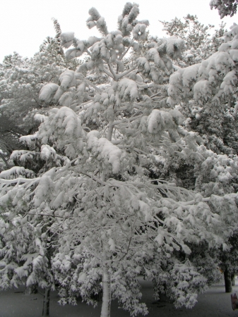 Colle Della Trinità - 008