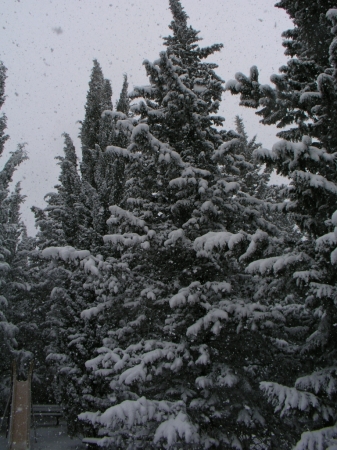 Colle Della Trinità - 011