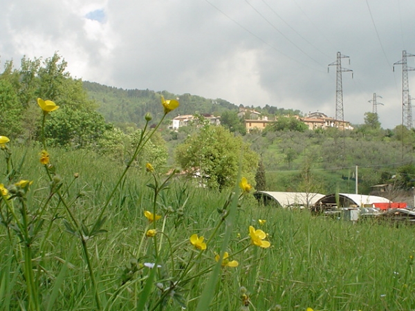 Colle San Giovanni Profiamma