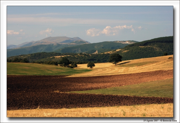 Colline Vicino Colfiorito