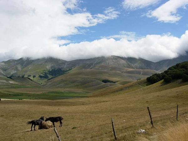 Cumulonembi Sull'argentella + Asini