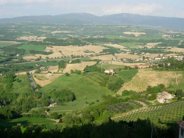 Da Todi