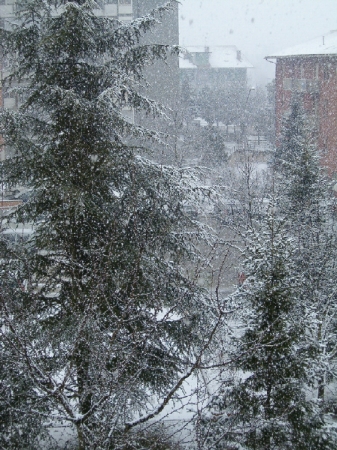 Furiosa nevicata marzolina 2005
