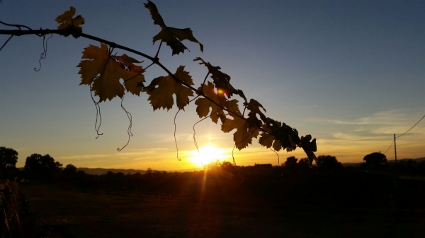 Il chiaroscuro autunnale