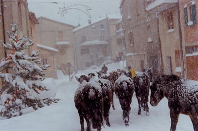 Isola Fossara -parco del monte Cucco
