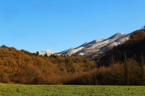 La Valle Del Regnano.