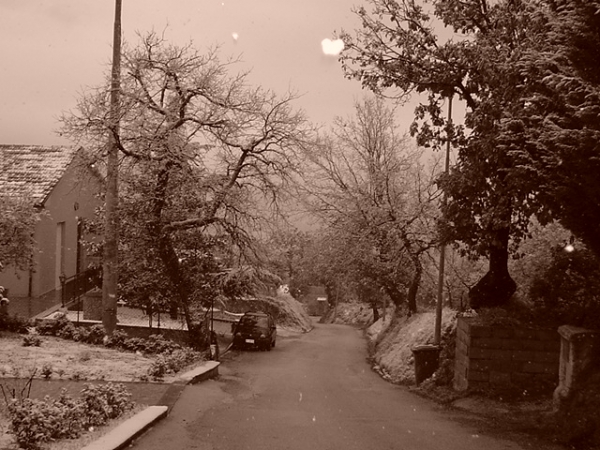 Neve di quest'inverno