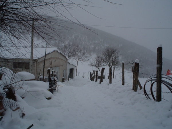 Neve vicino Sellano