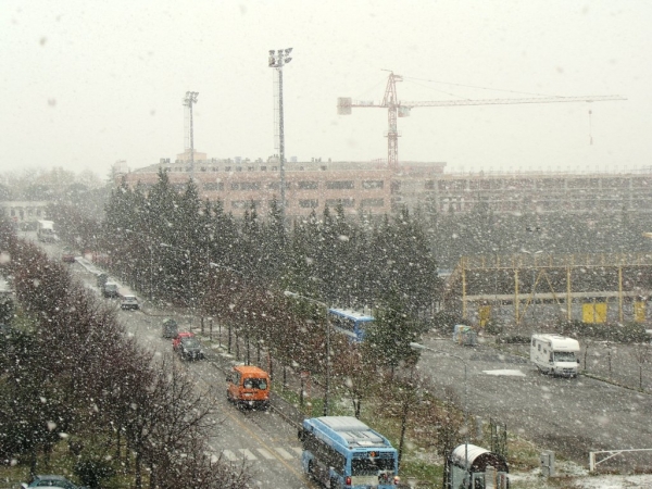 Nevicata Del 15/12 - 001