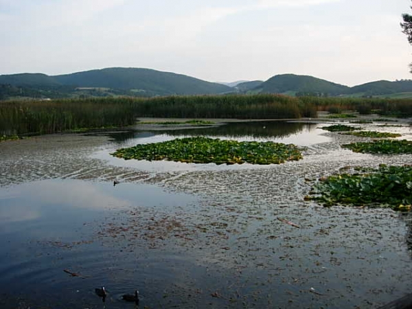Palude di Colfiorito
