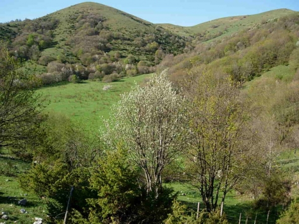 Piano di Rio Secco, Massiccio delle Brunette