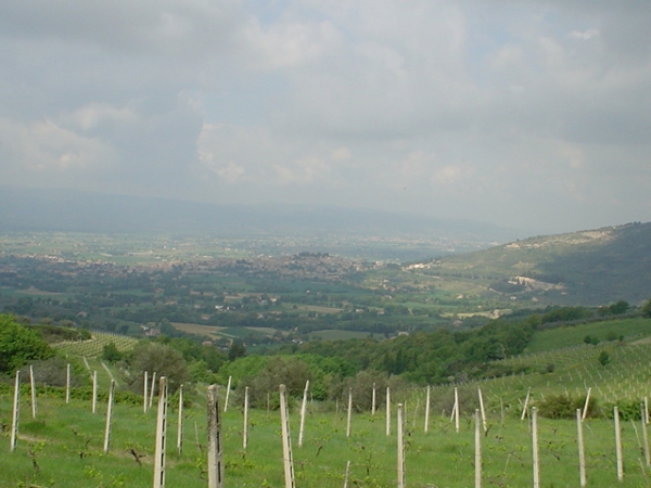Spello