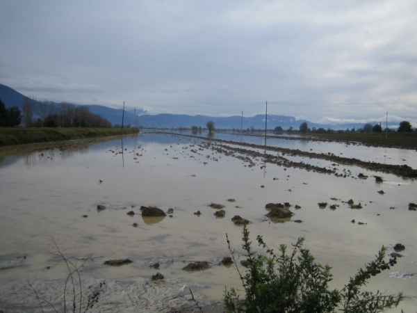 Torrente Marroggia(Straripamento)